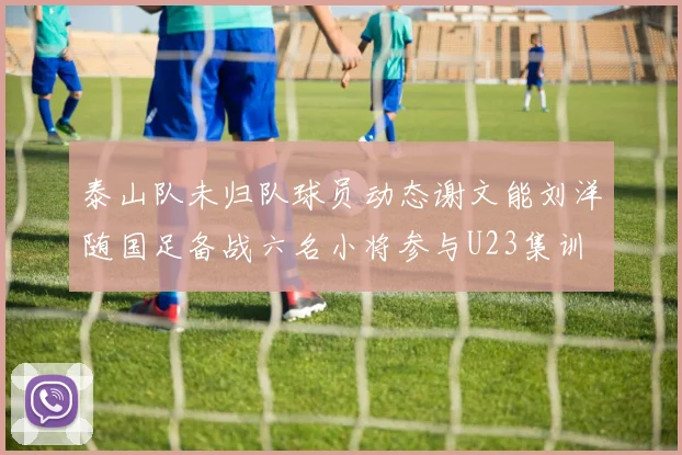 泰山队未归队球员动态谢文能刘洋随国足备战六名小将参与U23集训